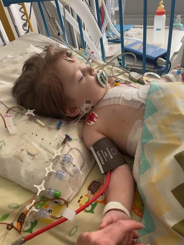 Main photo uploaded by the user