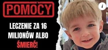 Zdjęcie główne wgrane przez użytkownika