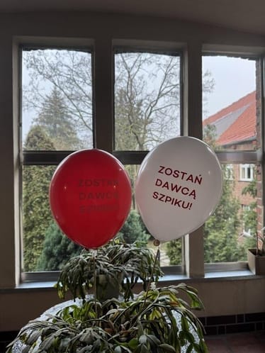 Zdjęcie główne wgrane przez użytkownika