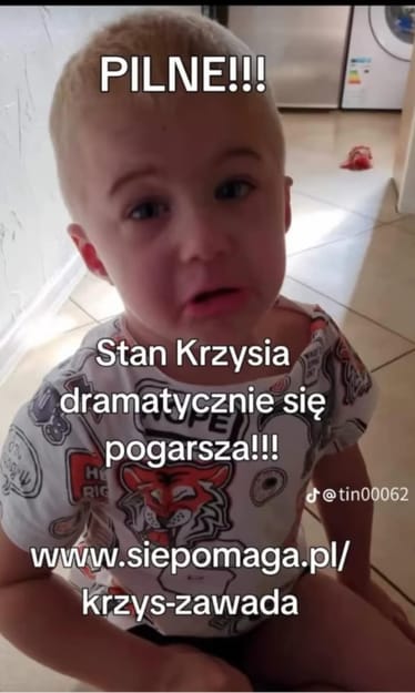 Zdjęcie główne wgrane przez użytkownika