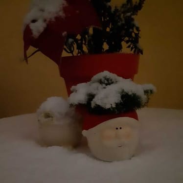 Zdjęcie główne wgrane przez użytkownika