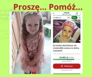 Zdjęcie główne wgrane przez użytkownika