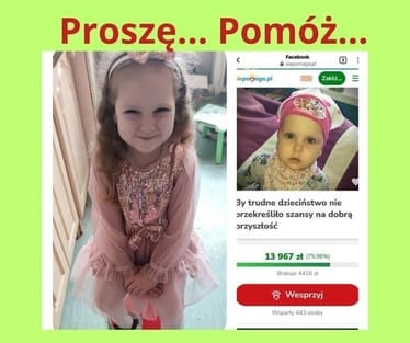 Main photo uploaded by the user