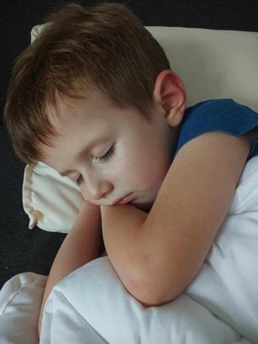 Zdjęcie główne wgrane przez użytkownika