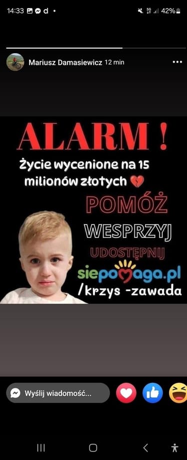 Zdjęcie główne wgrane przez użytkownika