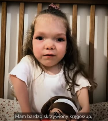 Zdjęcie główne wgrane przez użytkownika