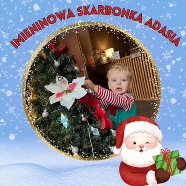 Main photo uploaded by the user
