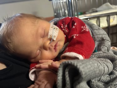 Zdjęcie główne wgrane przez użytkownika