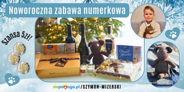 Zdjęcie główne wgrane przez użytkownika