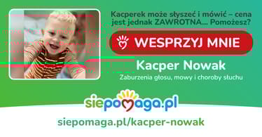 Main photo uploaded by the user