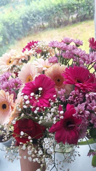 Main photo uploaded by the user