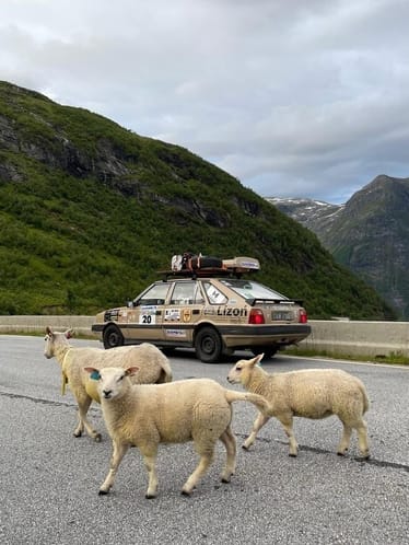 Zdjęcie główne wgrane przez użytkownika