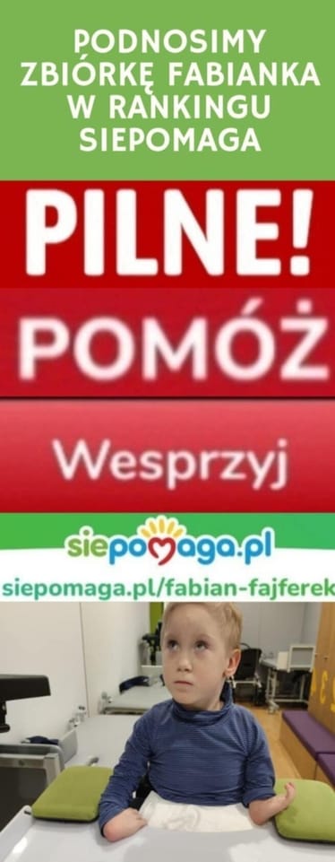 Zdjęcie główne wgrane przez użytkownika