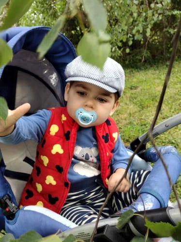 Zdjęcie główne wgrane przez użytkownika