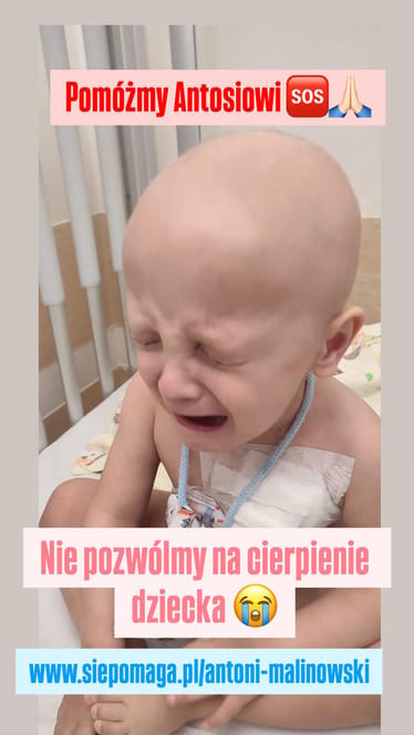 Zdjęcie główne wgrane przez użytkownika