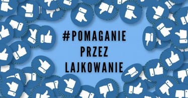 Zdjęcie główne wgrane przez użytkownika
