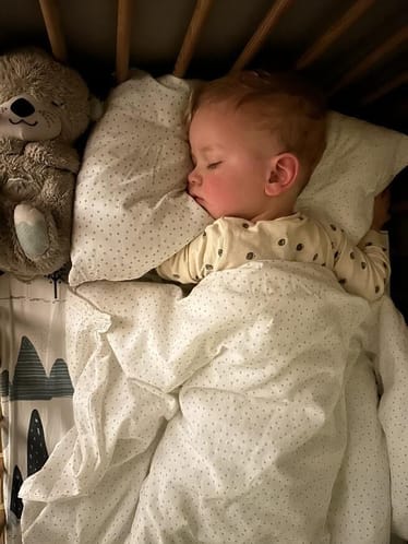 Main photo uploaded by the user