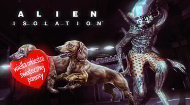 Zdjęcie główne wgrane przez użytkownika