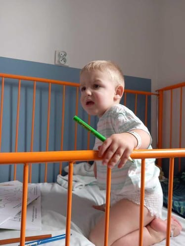 Zdjęcie główne wgrane przez użytkownika