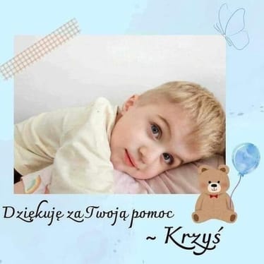 Main photo uploaded by the user