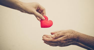 Main photo uploaded by the user