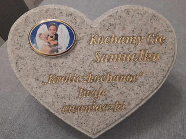 Zdjęcie główne wgrane przez użytkownika