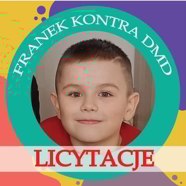 Main photo uploaded by the user