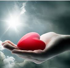 Zdjęcie główne wgrane przez użytkownika