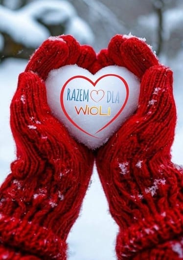 Main photo uploaded by the user