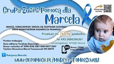 Main photo uploaded by the user