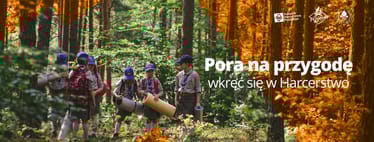 Zdjęcie główne wgrane przez użytkownika