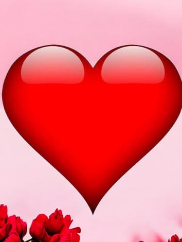 Zdjęcie główne wgrane przez użytkownika