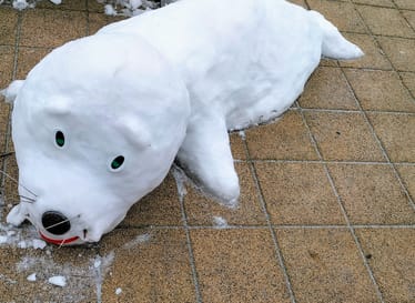 Zdjęcie główne wgrane przez użytkownika