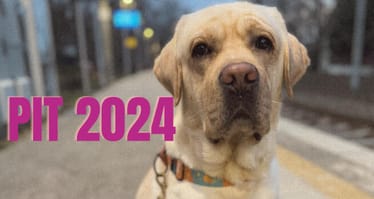 Zdjęcie główne wgrane przez użytkownika