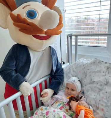 Zdjęcie główne wgrane przez użytkownika