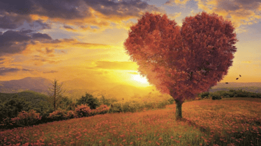 Zdjęcie główne wgrane przez użytkownika