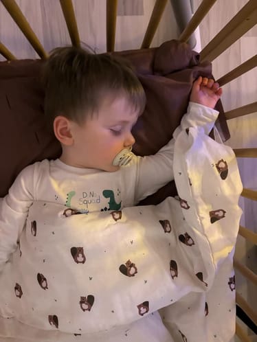 Main photo uploaded by the user