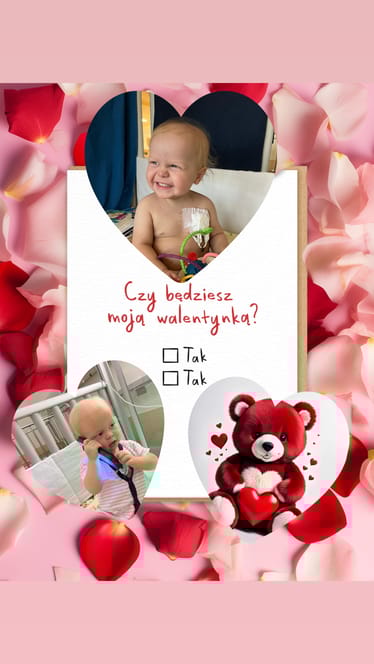 Main photo uploaded by the user