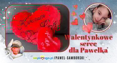 Main photo uploaded by the user