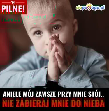 Zdjęcie główne wgrane przez użytkownika