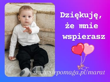 Zdjęcie główne wgrane przez użytkownika