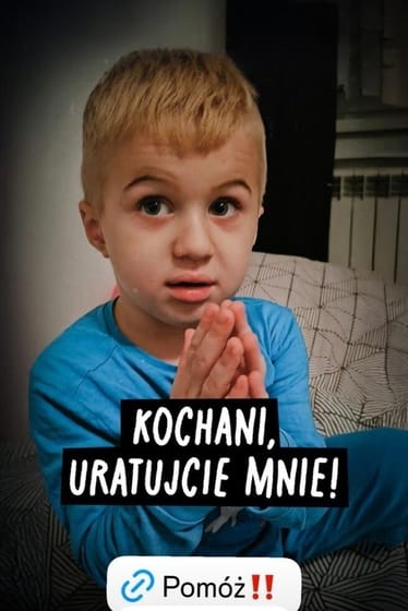 Main photo uploaded by the user