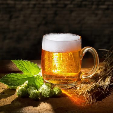 Main photo uploaded by the user