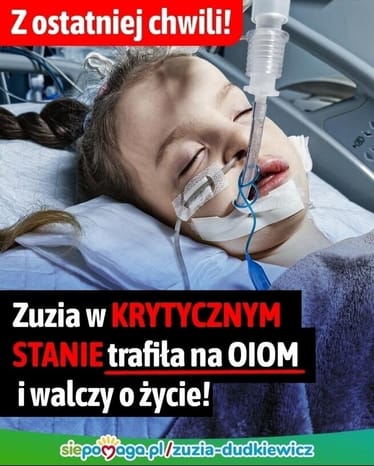 Zdjęcie główne wgrane przez użytkownika