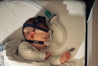 Zdjęcie główne wgrane przez użytkownika