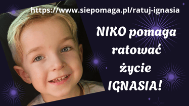 Main photo uploaded by the user