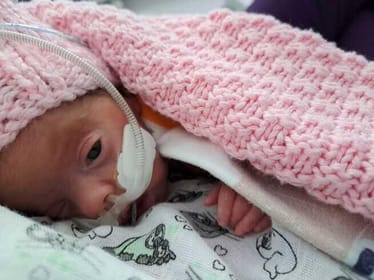 Zdjęcie główne wgrane przez użytkownika