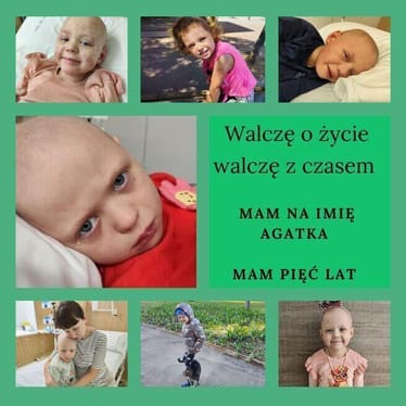 Zdjęcie główne wgrane przez użytkownika