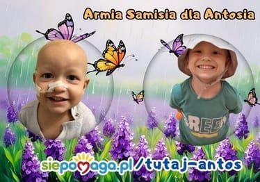 Main photo uploaded by the user