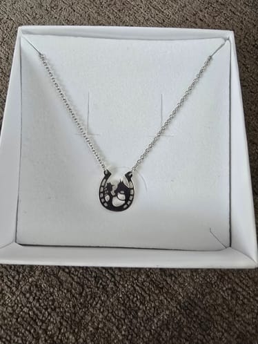 Main photo uploaded by the user